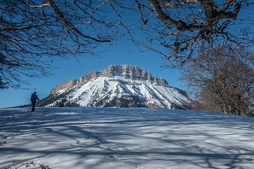 Chartreuse hiking by samir Nashashibi