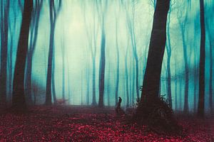 La forêt mystique