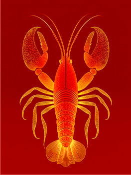 Illustration eines abstrakten Krebses in Rot/Gold