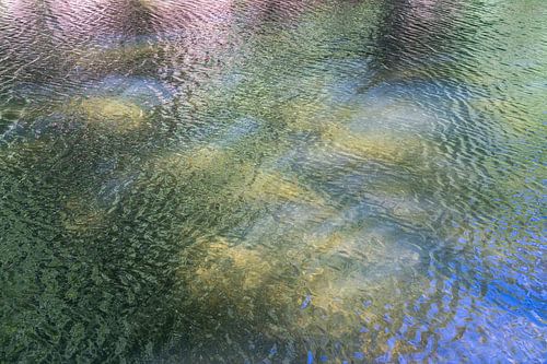 Summer reflection at the lake 1