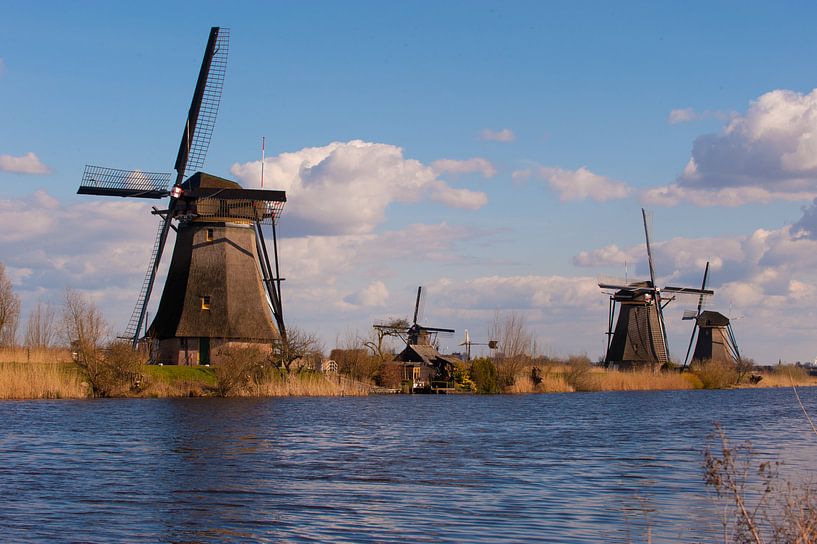 Kinderdijk Holland World Heritage van Brian Morgan