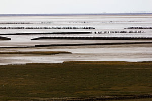 Waddenzee