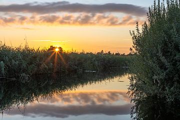 Zonsondergang  in de weerribben van Jan Willem Oldenbeuving