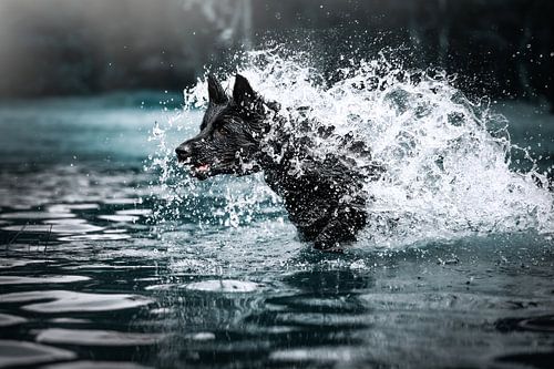 L'eau sauvage sur Kim van Beveren