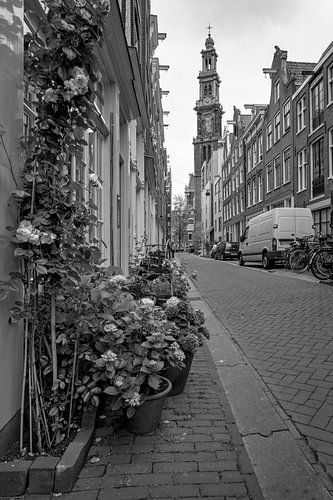 Bloemstraat Amsterdam