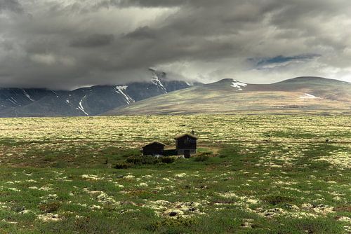 Parc national de Rondane sur Marc Hollenberg