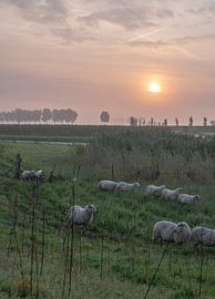 city of buren part 6 by Tania Perneel