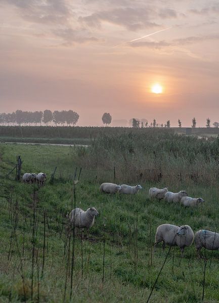 city of buren part 6 by Tania Perneel