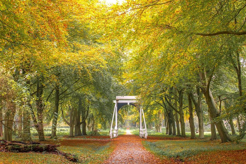 Herbst auf dem Landgut Ennemaborg von Peter Kuipers
