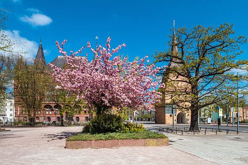 Ständehaus en stenen poort in de Hanzestad Rostock