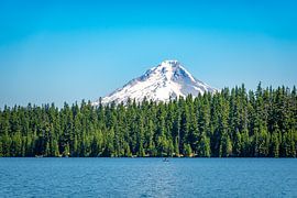 View of Mt Hood by Tashina van Zwam