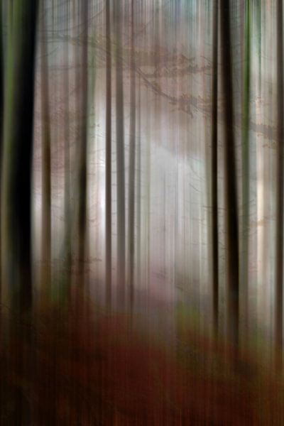 En cas de brouillard - clairière par Christine Nöhmeier