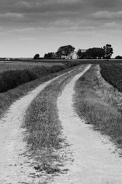 House on the end of the road von Naresh Bhageloe