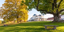 Schloss Solitude in Stuttgart von Werner Dieterich