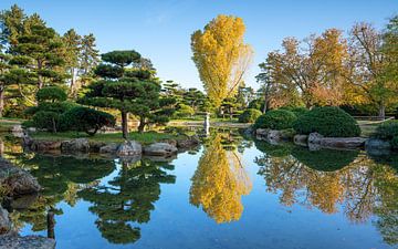 Jardin japonais, Düsseldorf, Allemagne sur Alexander Ludwig