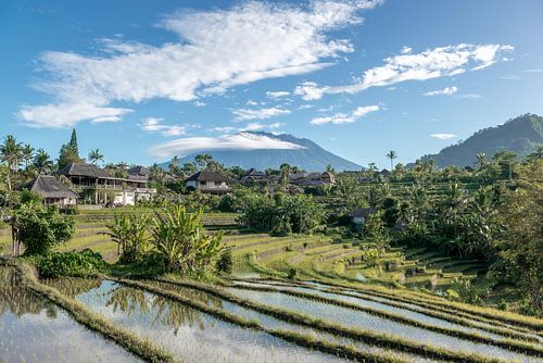 Authentiek tropisch uitzicht in Bali, Indonesië