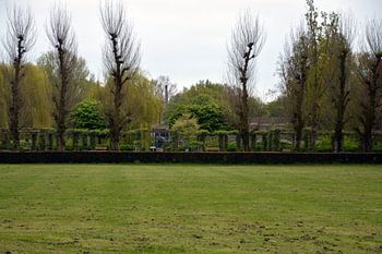 Uitzicht op de pergola's in het Pioenpark in Groningen