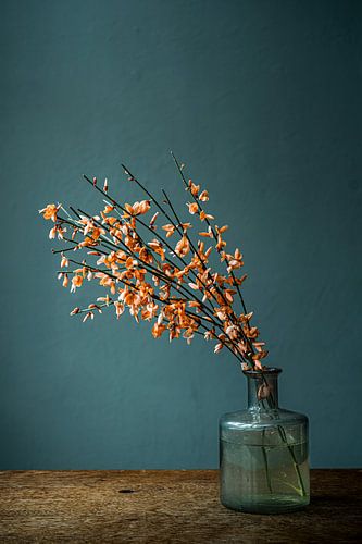 Foto print | Oranje Brem in glazen vaasje tegen blauw groene achtergrond | modern