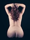 Künstlerische Nackte Frau von Helga fotosvanhelga Miniaturansicht