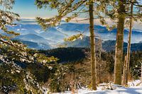 Der Ortenaukreis im Schwarzwald im strahlenden Winterlicht.