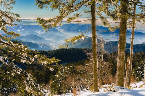 De Ortenaukreis in het Zwarte Woud in een stralend winterlicht.