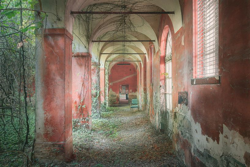 - Asylum - by Anne-Kathrin Knappe