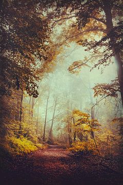 Silent Forest sur Dirk Wüstenhagen