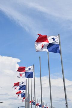 Des drapeau du pays au parc
