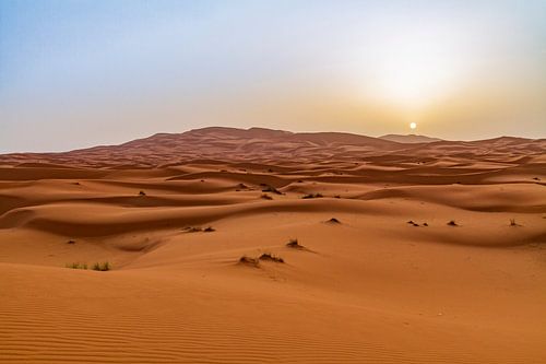 Zonsopkomst in de Sahara
