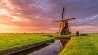 Irrigation  Windmill