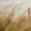 Noordertoren Schiermonnikoog  van Jeroen Kleverwal
