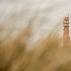 Noordertoren Schiermonnikoog  sur Jeroen Kleverwal