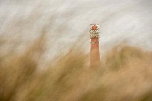 Noordertoren Schiermonnikoog  van Jeroen Kleverwal