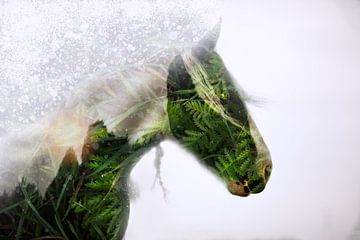 "Fern Horse" van Kim van Beveren