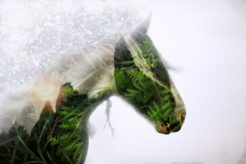&quot;Fern Horse&quot; by Kim van Beveren