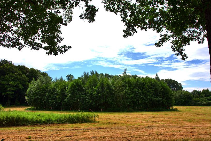 Lüttinghof 9 par Edgar Schermaul