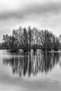 Überschwemmungsgebiete von Leuvenheim entlang des Flusses IJssel