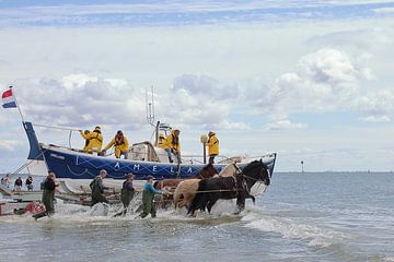 Horse rescue boat Ameland