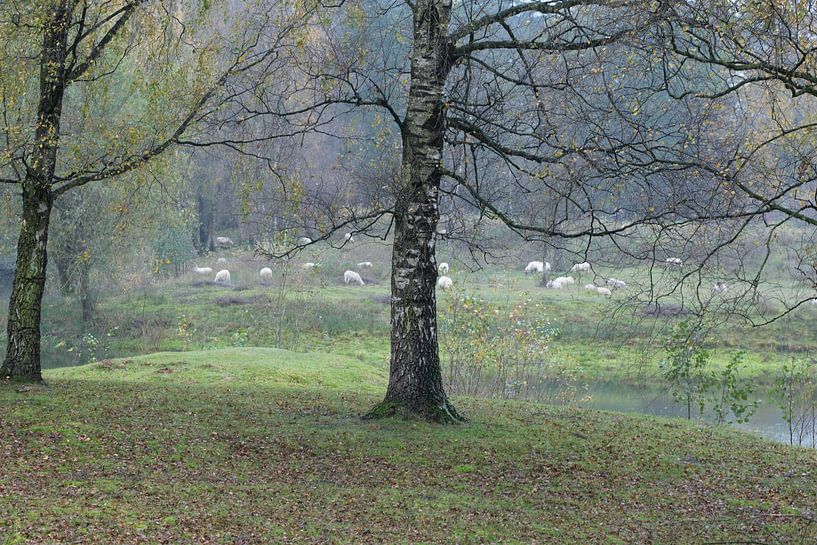 Herbst von Mario Creanza