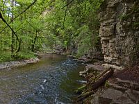 Rotsachtige Wutach kloof
