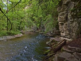 Rocky Wutach Gorge by Timon Schneider