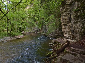 Felsige Wutachschlucht