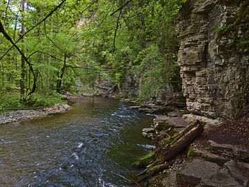 Felsige Wutachschlucht von Timon Schneider