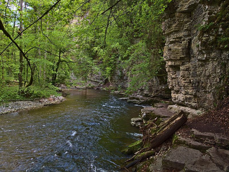 Rotsachtige Wutach kloof van Timon Schneider