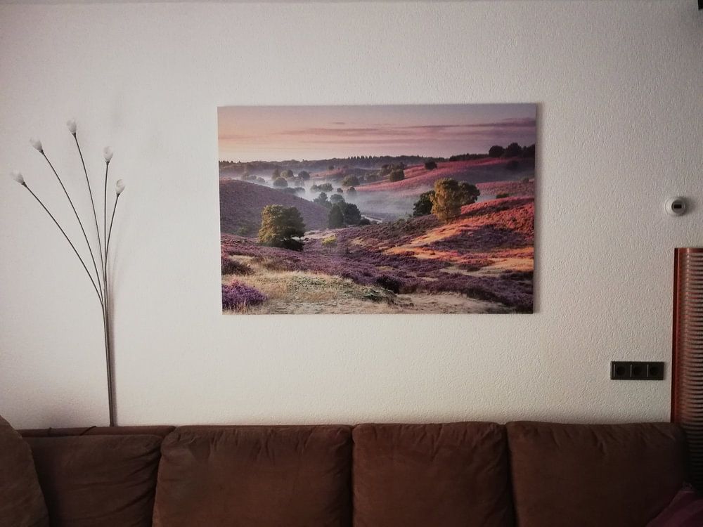 Brouillard et bruyère fleurie dans la vallée de la Posbank  par Sander Grefte 
