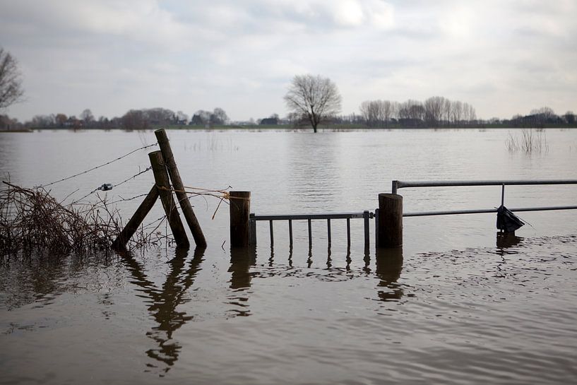 Drowned fence by Kees van Dun
