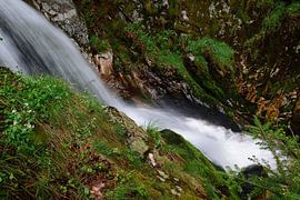 Side view by Frank's Awesome Travels