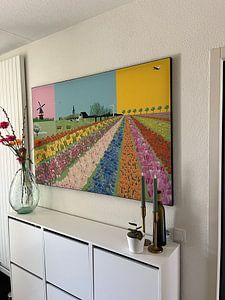 Dutch flower fields
