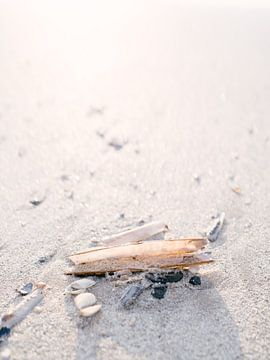 Schelpen op het strand closeup van NANI IS MOOI
