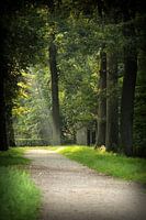 At the end of the path...